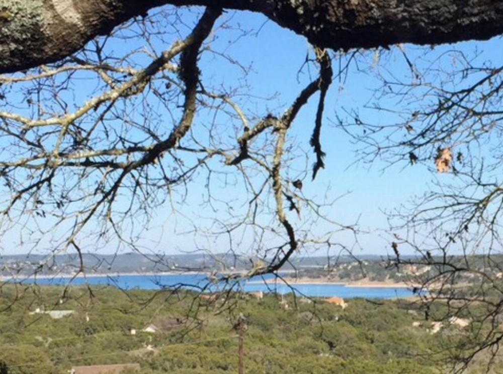 'Casa del Arbol' (Tree house) for 14 Guests Main image
