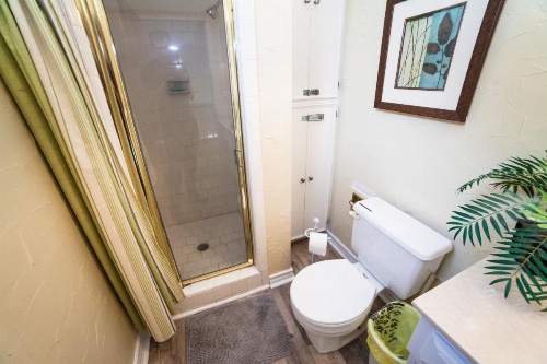 'Casa del Arbol' (Tree house) for 14 Guests image 29